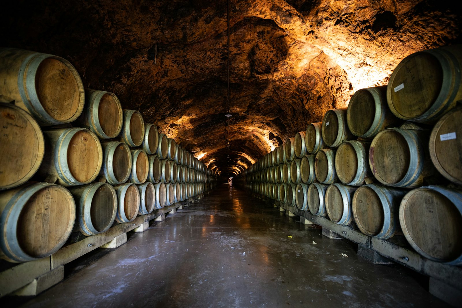 Oak barrels in the cellar